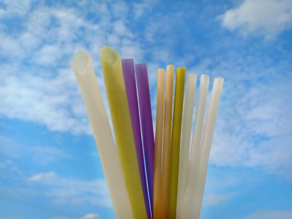 37cd246aeca908f751b8