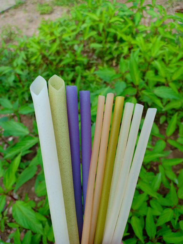 9799b52d7dee99b0c0ff